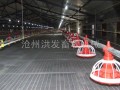 肉雞螺旋喂料線 料線　全國招商－－滄州洪發畜牧機械有限公司