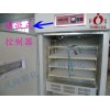 全自動孵化機(jī) 孵化器 孵化設(shè)備 孵化箱 孵化機(jī)專用配件