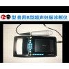 獸用B型 妊娠診斷儀