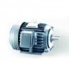 臺灣型臥式電機-GFEF系列