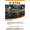 9CLXY-4288育雛育成雞設(shè)備