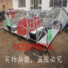 廠家供應(yīng)云南母豬分娩床 母豬產(chǎn)床 復(fù)合產(chǎn)床 保育床